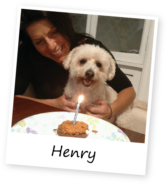 Pet Sitting Medford - Happy Holidays Summer (600x643), Png Download