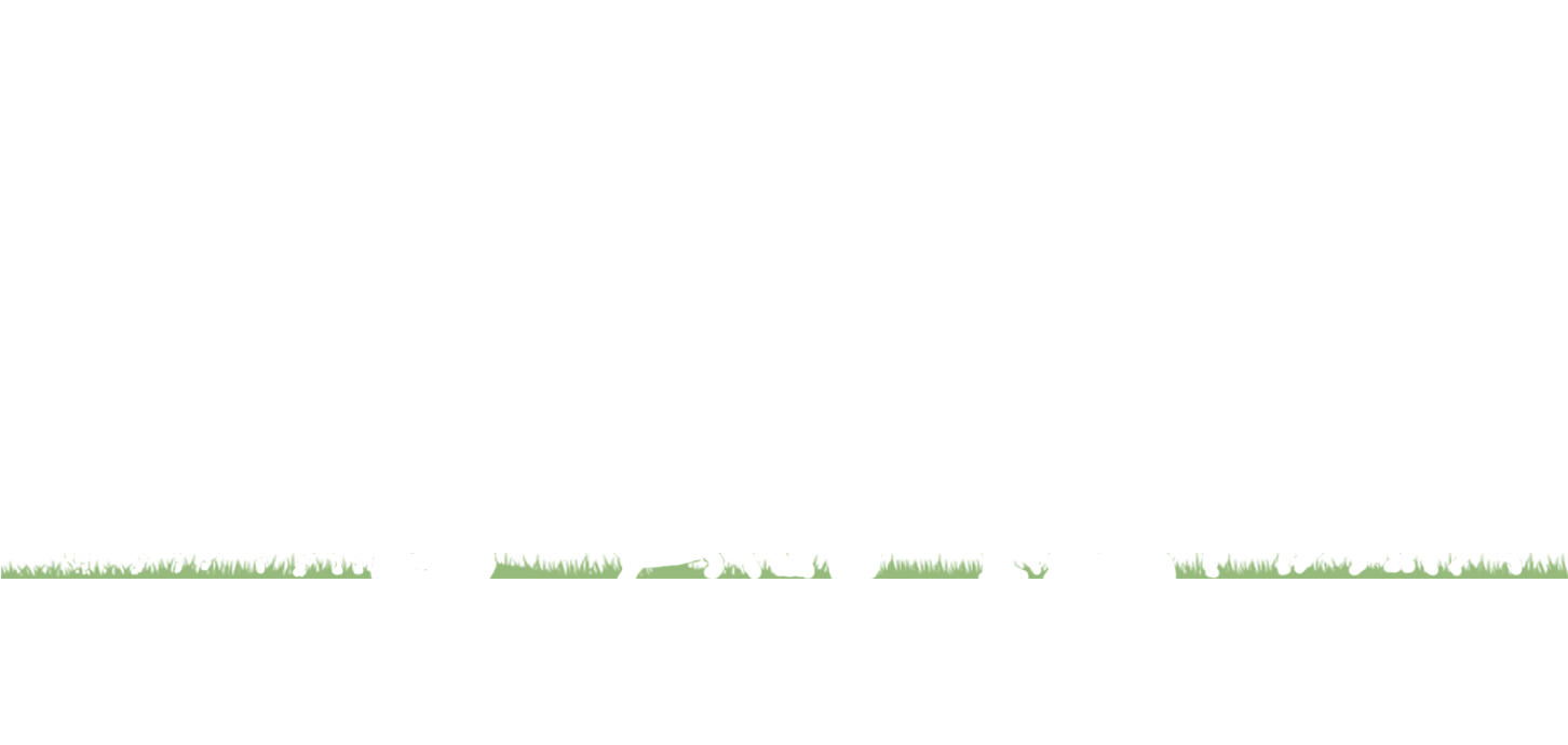 Call 922-9112 For Immediate Dog Walking Or Pet Sitting - Dogs Out Walking (1464x818), Png Download