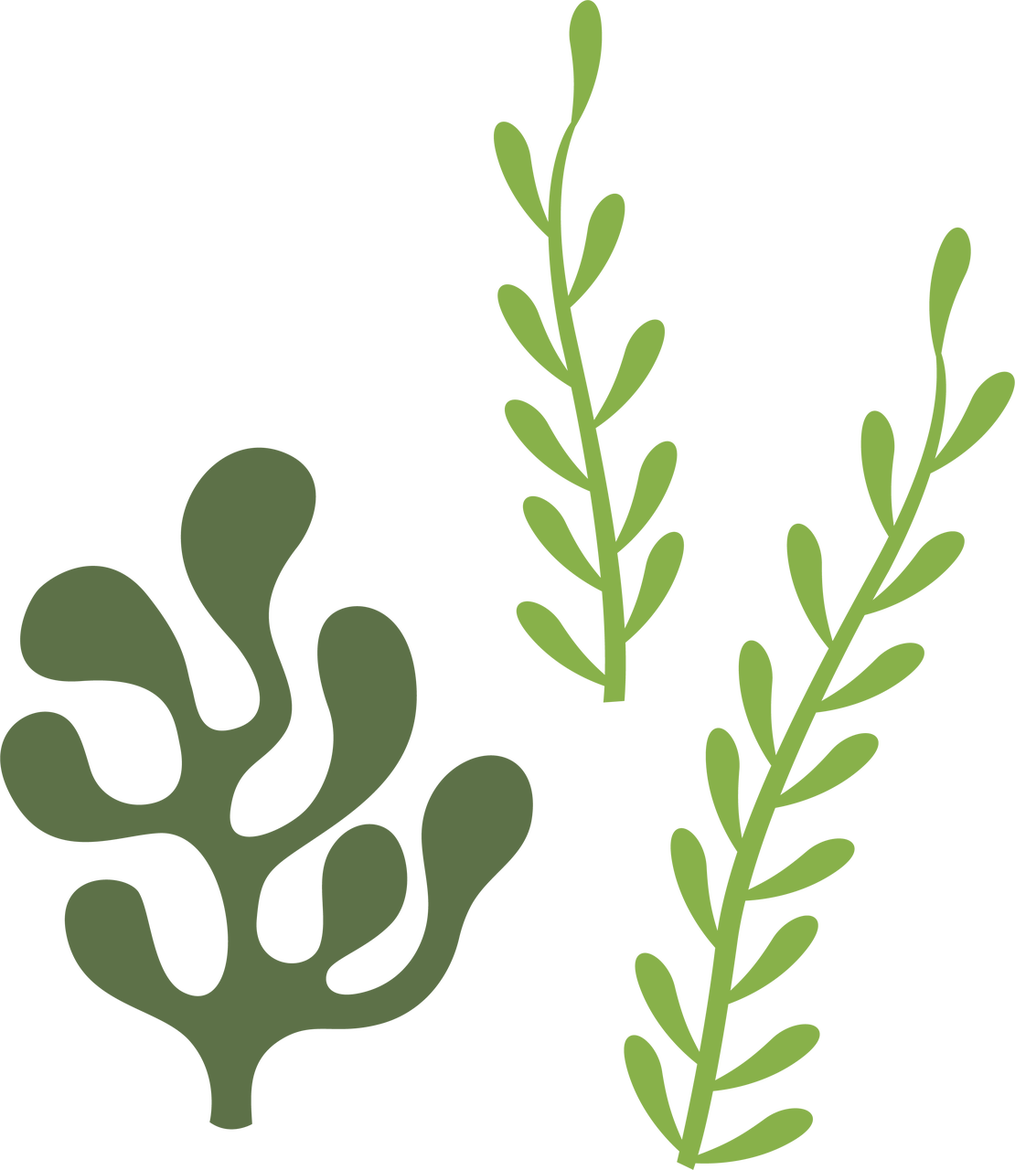 Categories - Coral Silhouette (1110x1280), Png Download