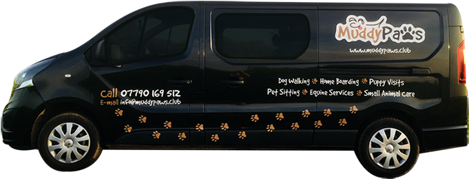 Img - Nissan Primastar (800x400), Png Download