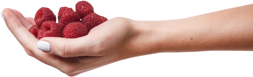 Raspberries In Hand - Frutti Di Bosco (866x650), Png Download