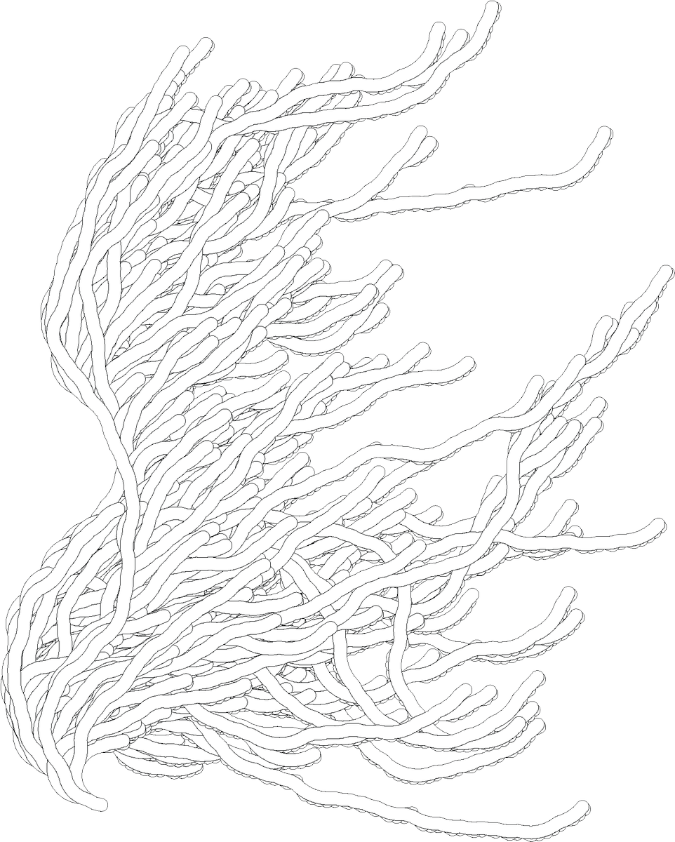 Edmund Harriss On Twitter This Mathematical Monster - Edmund Harris Collatz Conjecture (962x1200), Png Download