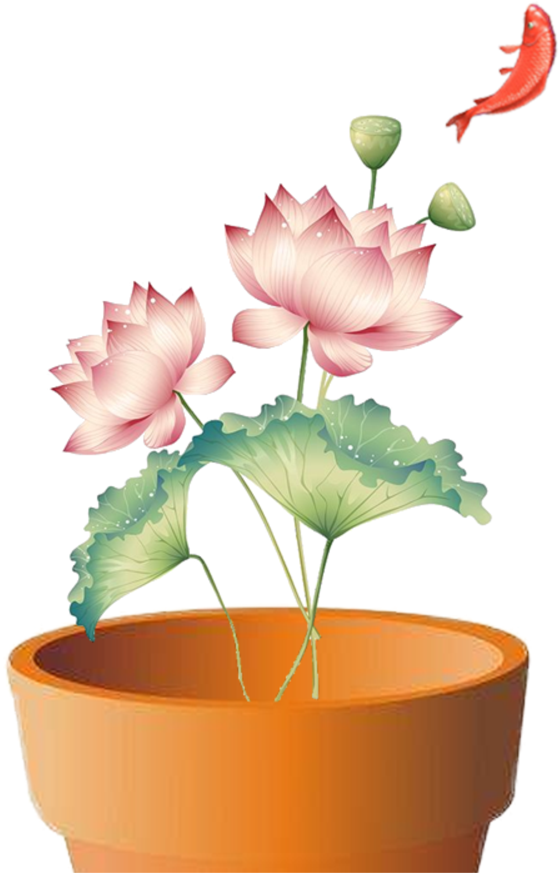 Beautiful Lotus Flower Summer Festival - ภาพ วาด ดอกบัว สวรรค์ แบบ จีน (2200x2950), Png Download