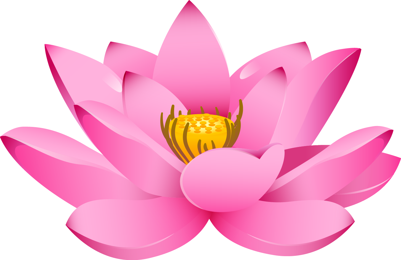 Lotus Flower Png - รูปภาพ วาด ดอกบัว สวย ๆ (1354x881), Png Download
