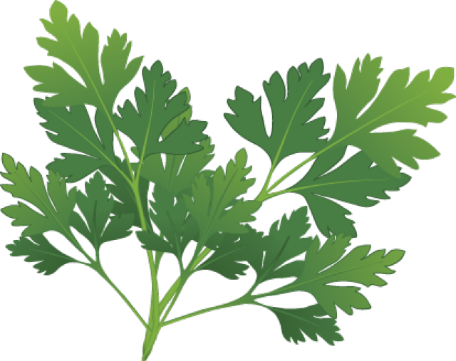 Clip Art Black And White Graphic Design Pinterest Herbs - Herbs Clipart (640x507), Png Download