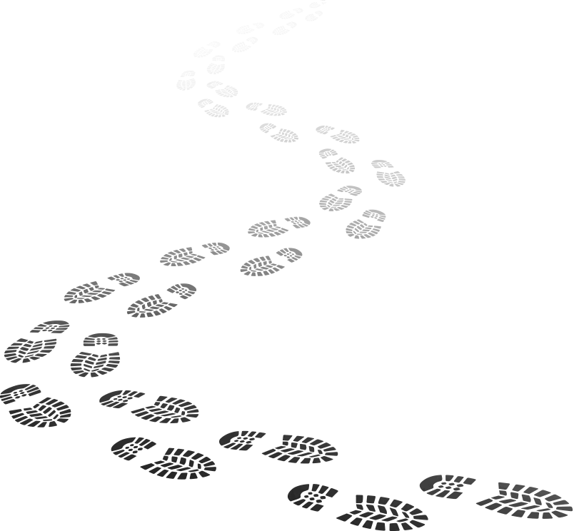 Kontaktformular » - - Private Investigator: Beginner's Guide (804x744), Png Download