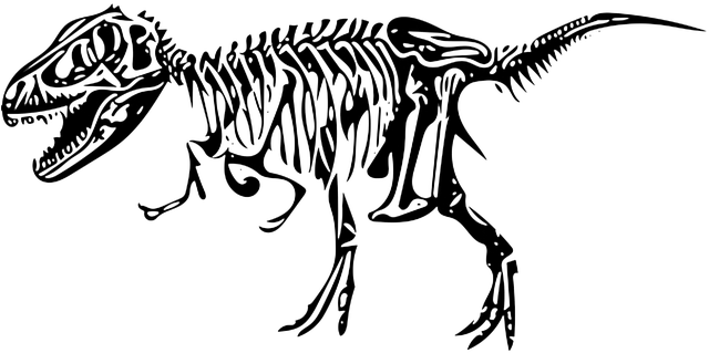 Dinosaur, Tyrannosaurus, Bone, Fossil - Esqueleto Dinossauro Png (640x360), Png Download