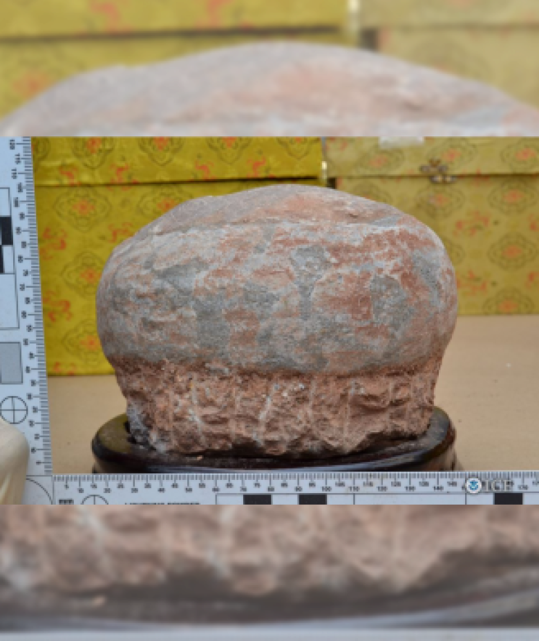 Jun Yang Was Offering These Hadrosaurus Egg Fossils - Boulder (780x927), Png Download