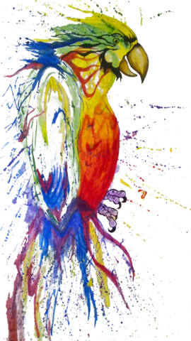 Bird Fabric, Parrot Fabric, Watercolor Fabric, Scared - Write Here Notebooks: Parrot Notebook / Journal 100 (270x480), Png Download