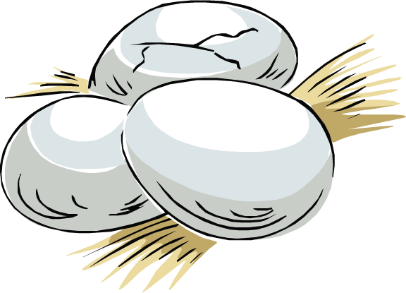 Eggs - Dinosaur (576x415), Png Download