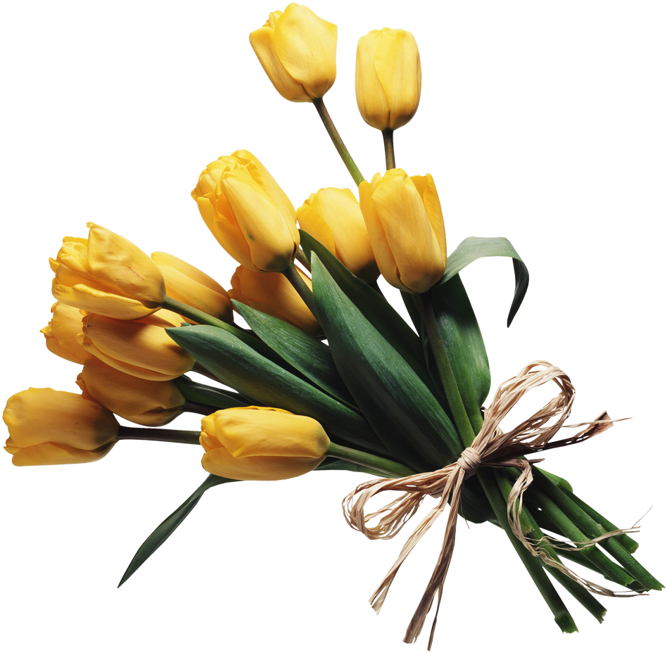Bouquet Of Flowers Png Image - El Don De La Sensibilidad Elaine Aron Pdf (1000x980), Png Download