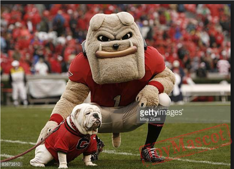 Georgia Bulldog Mascot (800x800), Png Download