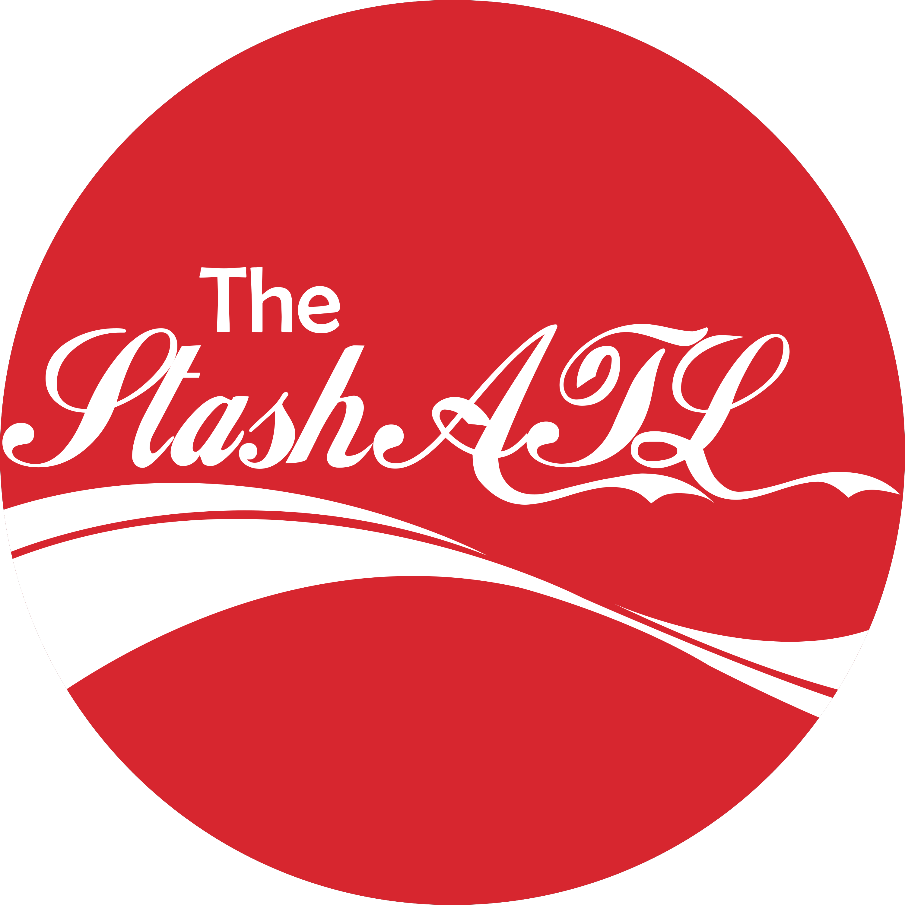 Spill Net Logo Png Transparent - Cnet Logo (2400x2400), Png Download