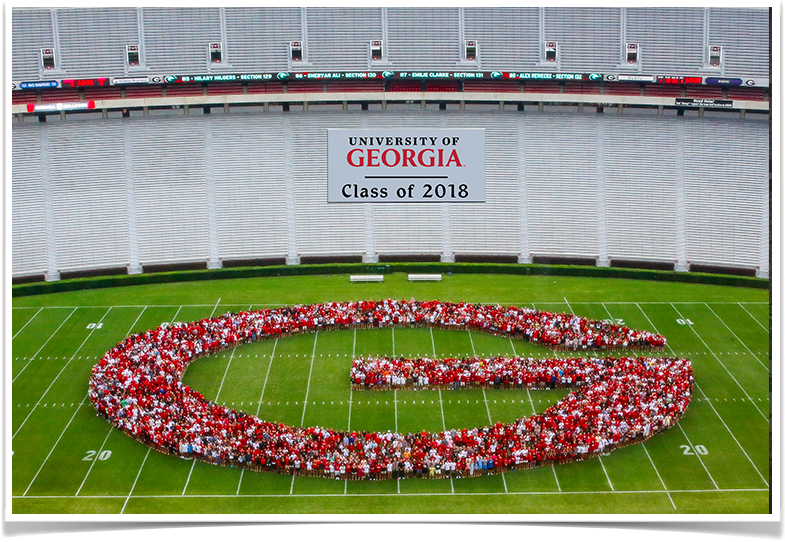 Uga Class Of - Georgia Bulldogs (1000x1000), Png Download