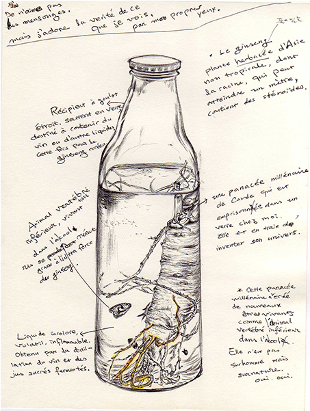 Glass Bottle (600x600), Png Download