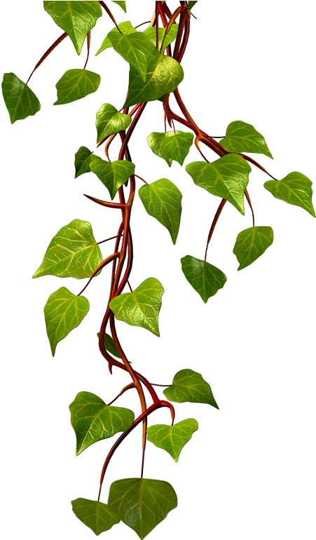 Win In The Lucky Leprechaun Giveaway Hop - Leprechaun (469x778), Png Download