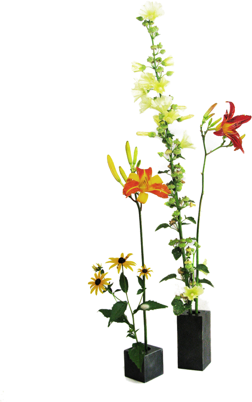 Tall Flower Vase Png (800x800), Png Download