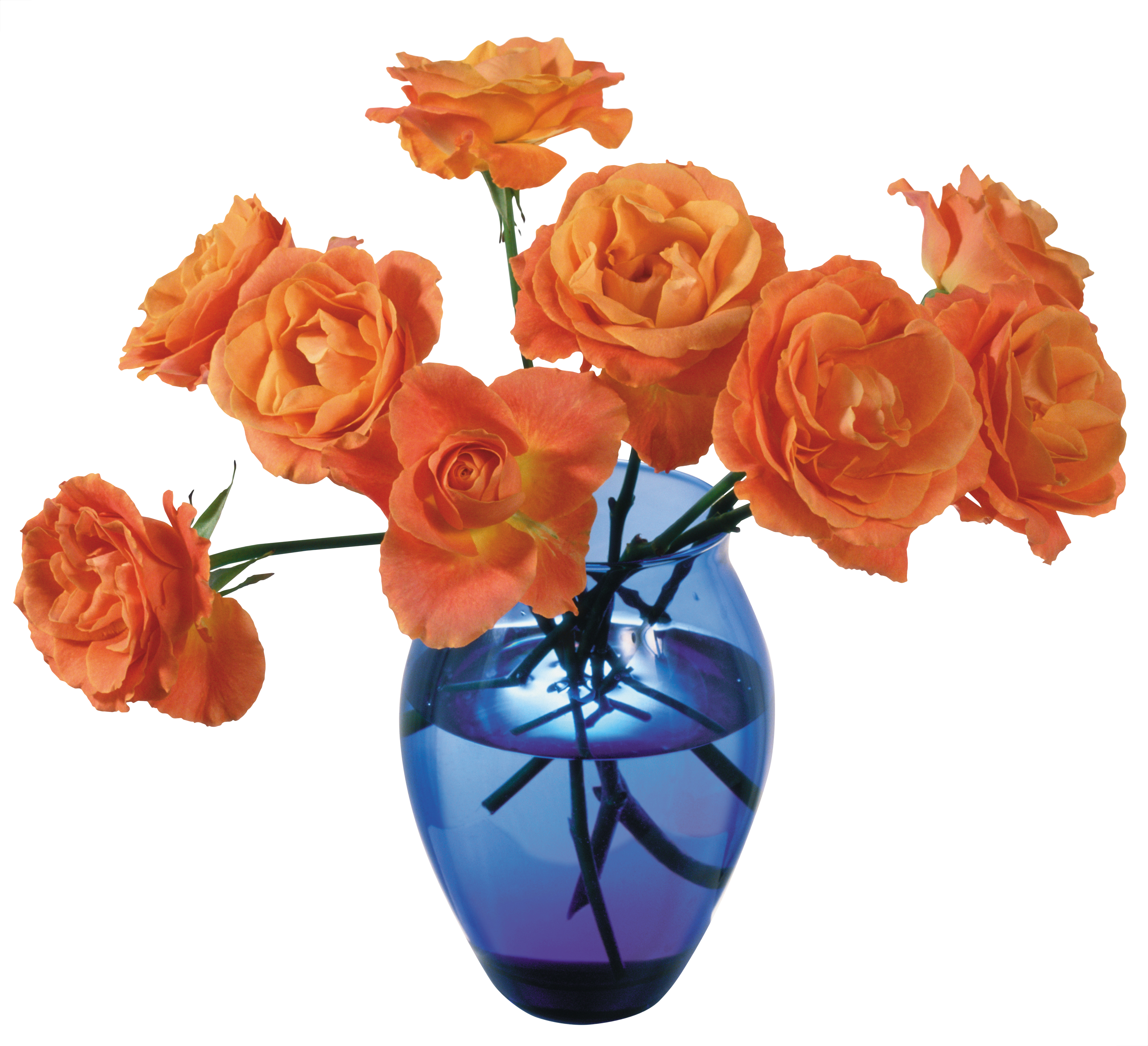 Vase Png Transparent Png Vase Flowers Full Size Png Download Seekpng