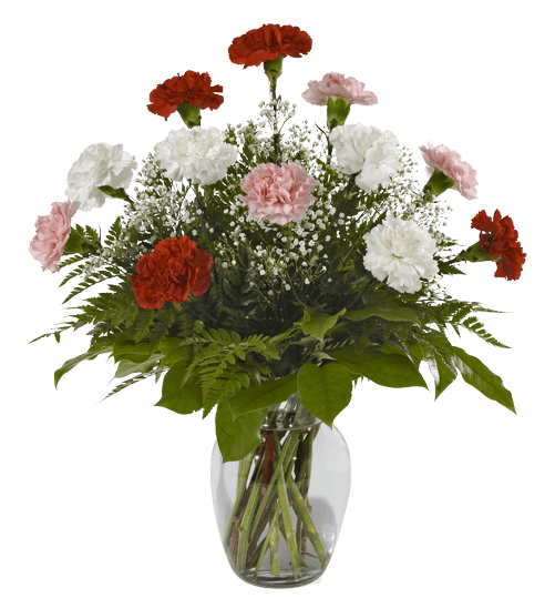 Carnation Vase - Garden Roses (500x611), Png Download