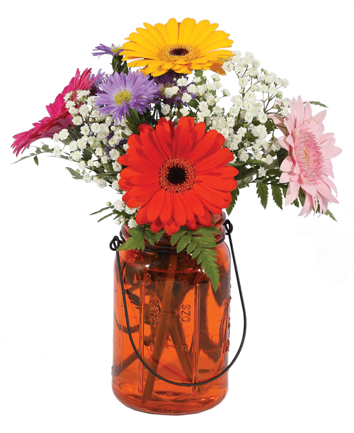 Mini Gerbera Vase, Orange - Bouquet (500x611), Png Download