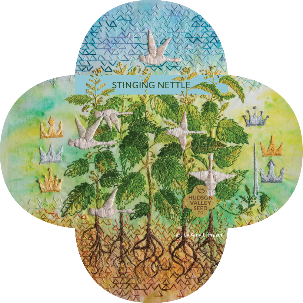 Oe Stinging Nettle - Common Nettle (1000x998), Png Download