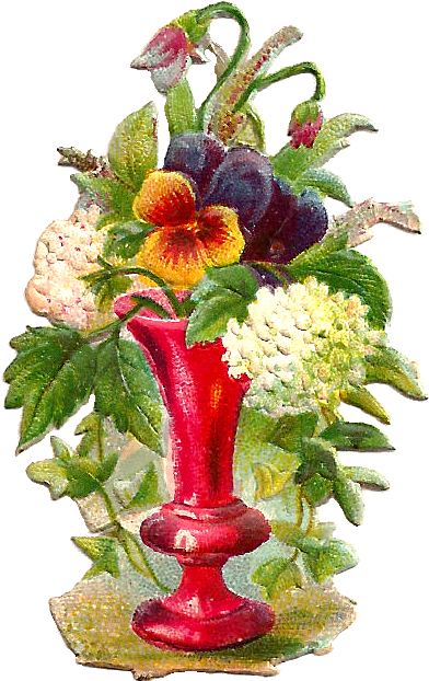 Free Flower Graphic - Flower (658x846), Png Download