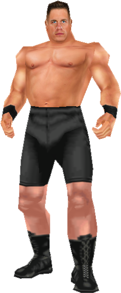 John Cena Wip Photo Johncenawip - Wetsuit (262x590), Png Download