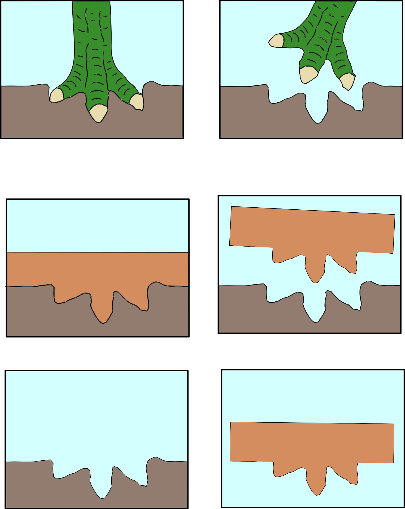 As A Dinosaur Walks Across A Muddy Surface, His Footprint - Tree (1372x1726), Png Download