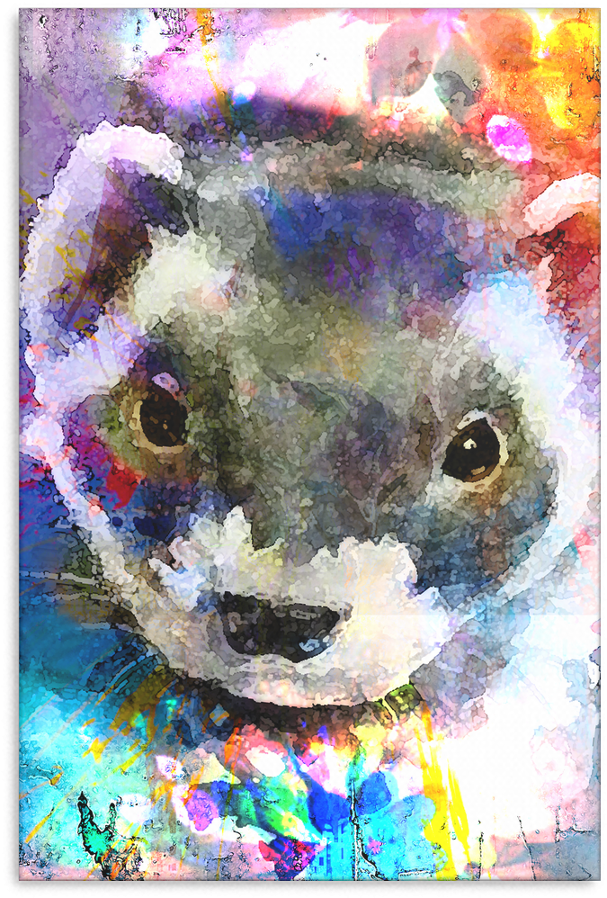 Ferret Canvas P46 - Product (1024x1024), Png Download