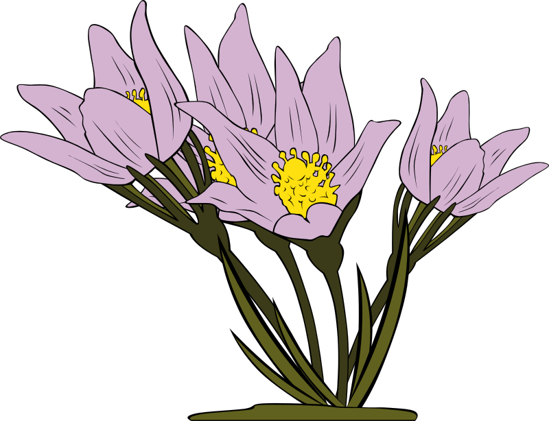 Purple Flower Clipart Wild Flower - Flowers Clipart (800x614), Png Download