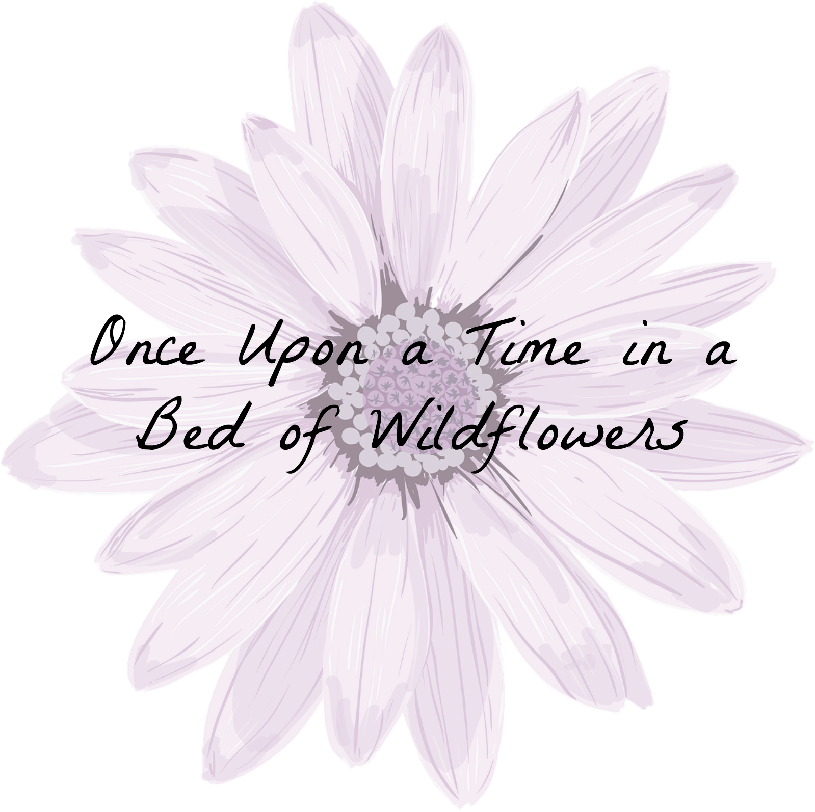 Wildflowers Wm - « - Heath Aster (1774x1774), Png Download