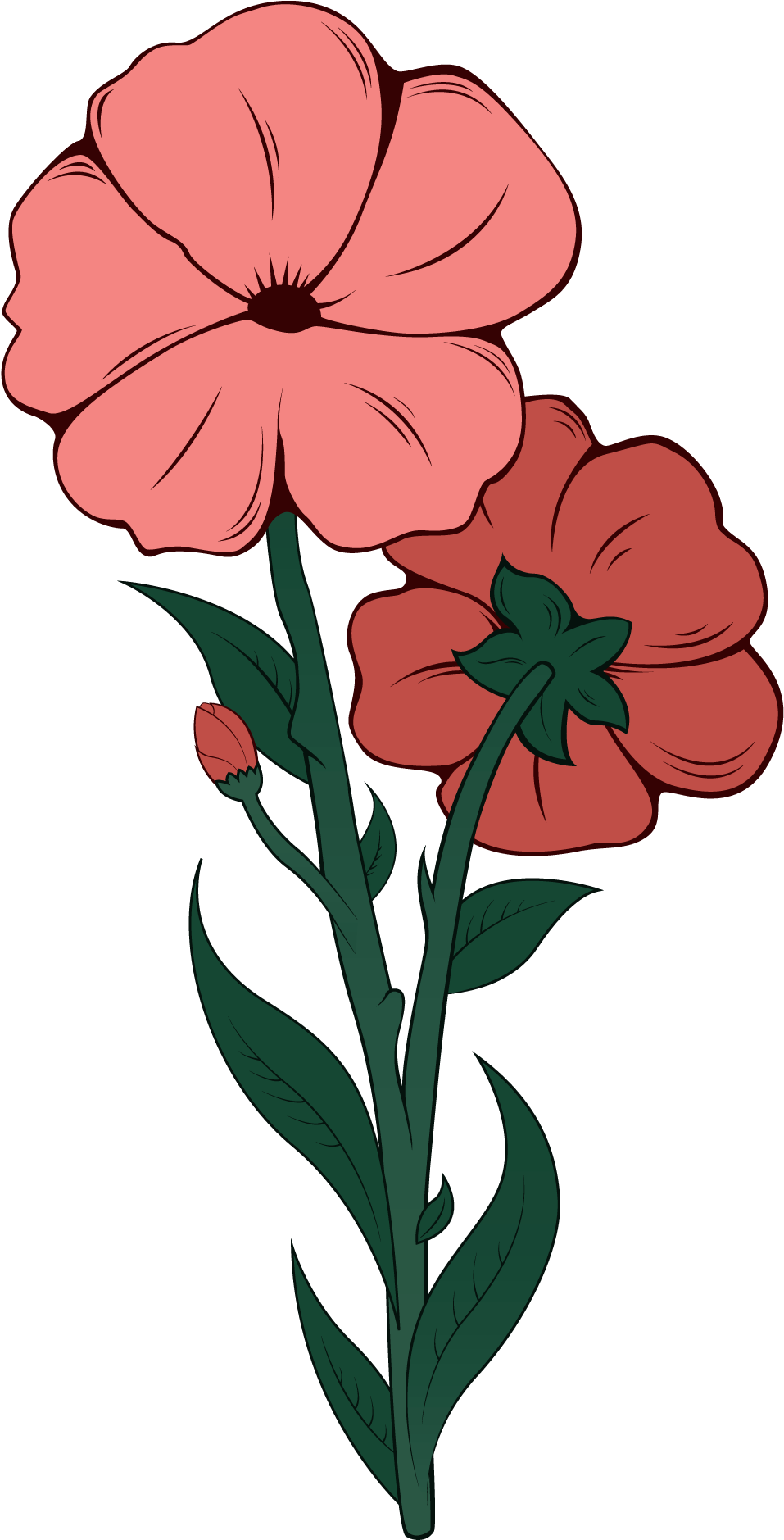 Wild Tumblr Flower Png (1584x2016), Png Download