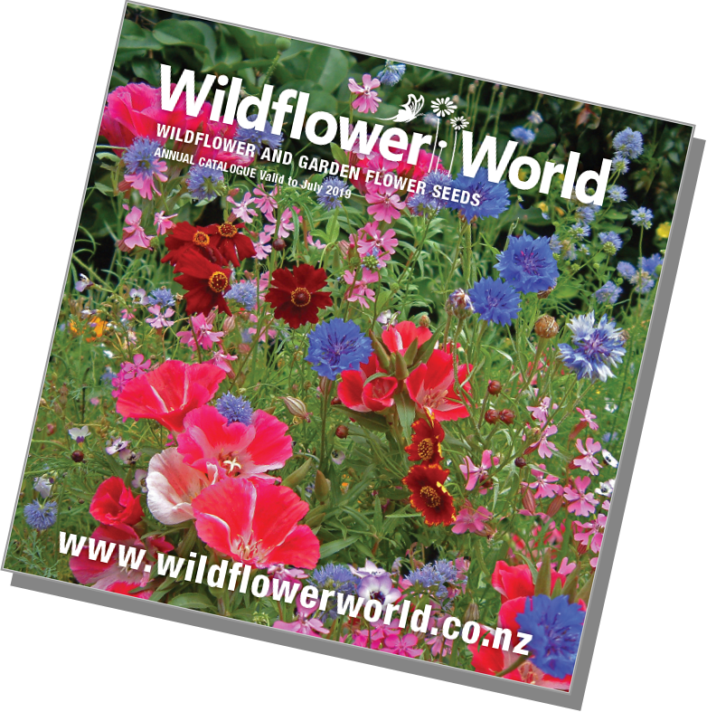 Wildflower World Catalogue - Wildflower World (782x787), Png Download