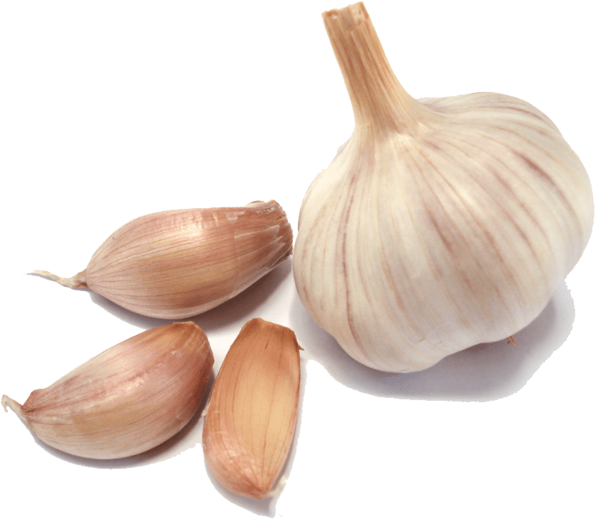 Garlic Group - Garlic Png (995x798), Png Download