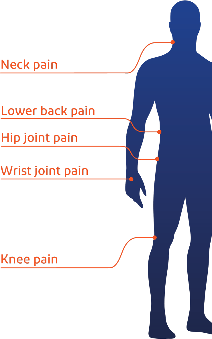 Neck Pain, Lower Back Pain, Knee Pain, Hip Joint Pain, - Pain (768x1296), Png Download