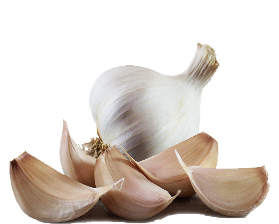 Garlic Png (1100x1100), Png Download