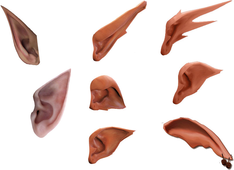 Elf Ear Png - Orejas De Elfo Png (881x606), Png Download