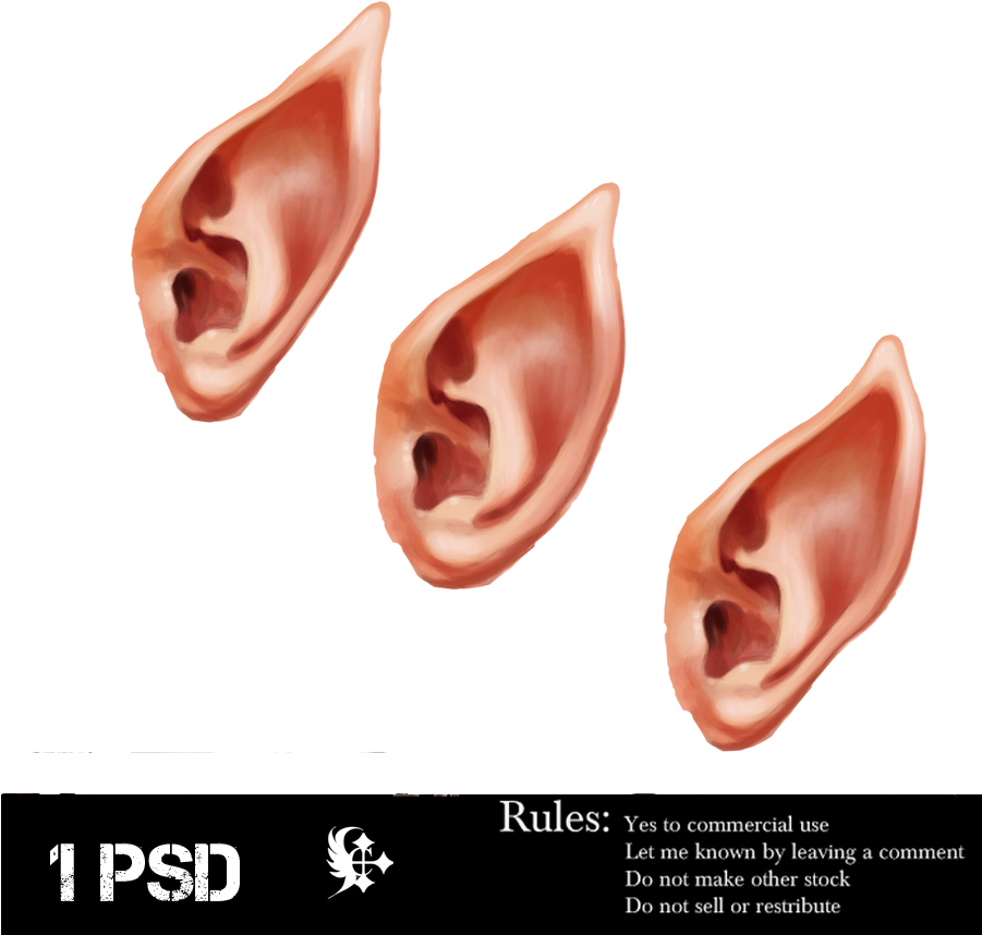 Png Elf Ears Png Images Pluspng Pluspngcom By - Elf Ear Png (900x900), Png Download