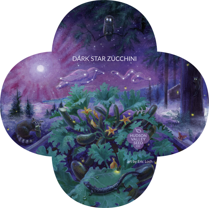 Organic Dark Star Zucchini Seeds - Dark Star Zucchini (700x699), Png Download