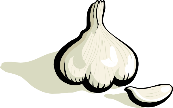 How To Set Use Garlic Clipart (600x377), Png Download