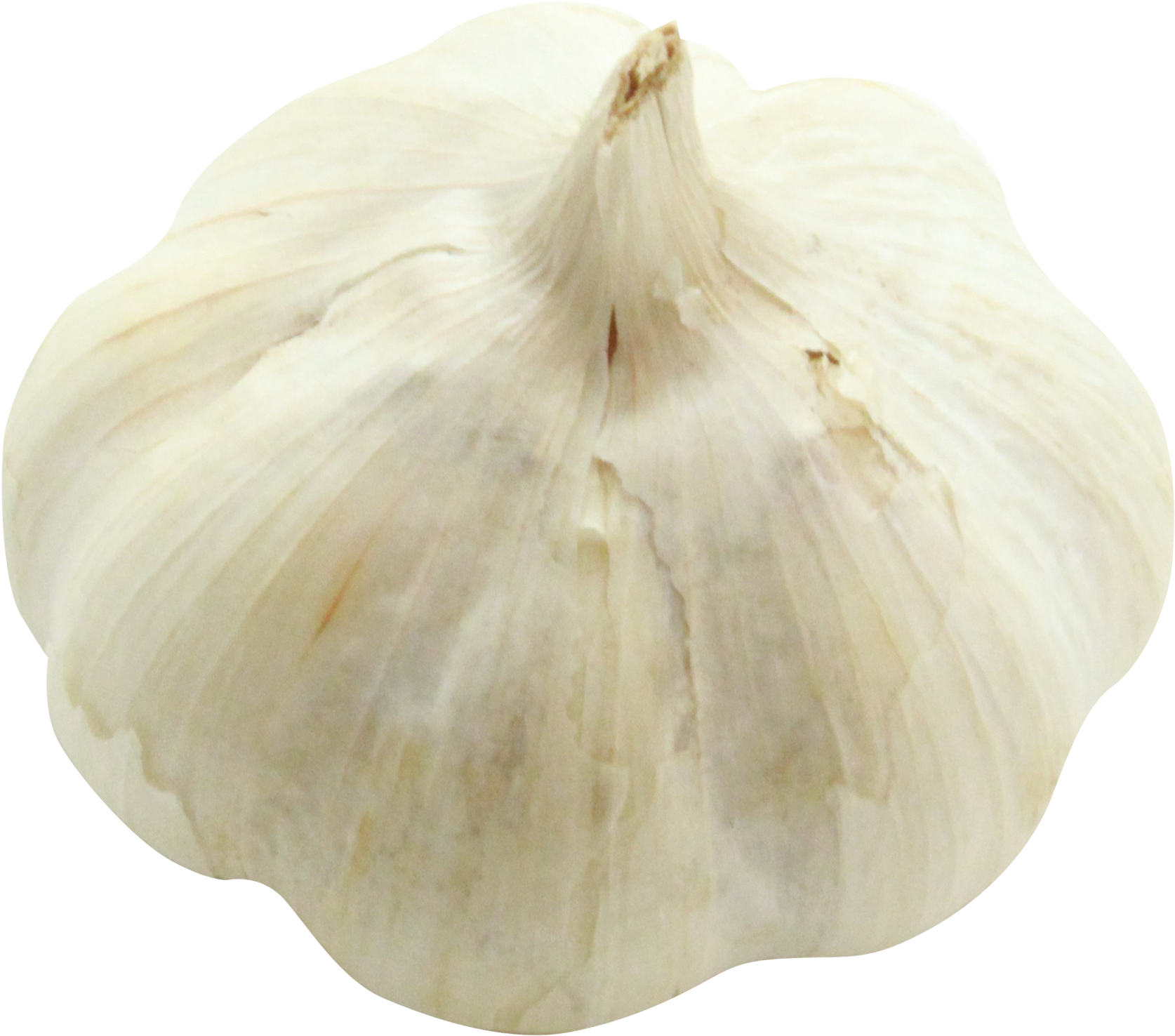 Download Garlic Png Image - Portable Network Graphics (500x434), Png Download