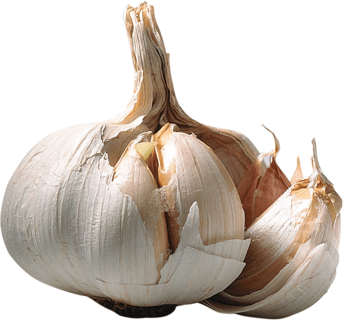 Vegetables - Garlic Clipart Transparent (1193x1114), Png Download