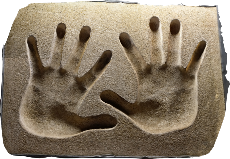 Wood (800x553), Png Download