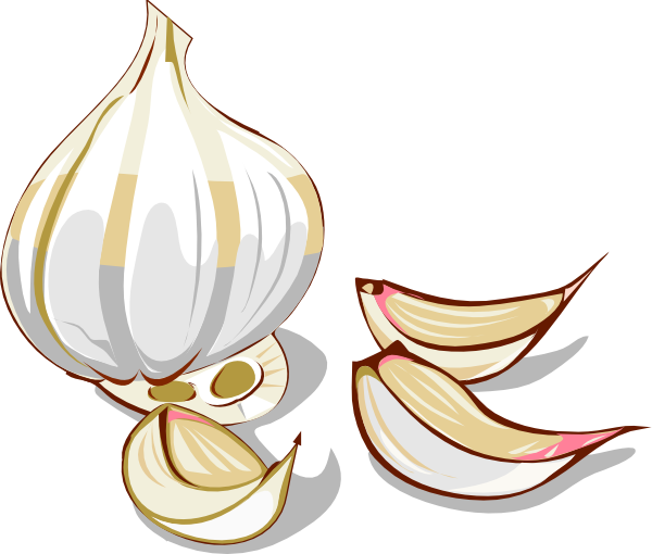 How To Set Use Garlic Svg Vector (600x510), Png Download