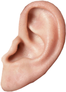 Ear Clipart Transparent Png - Ear Png (400x400), Png Download