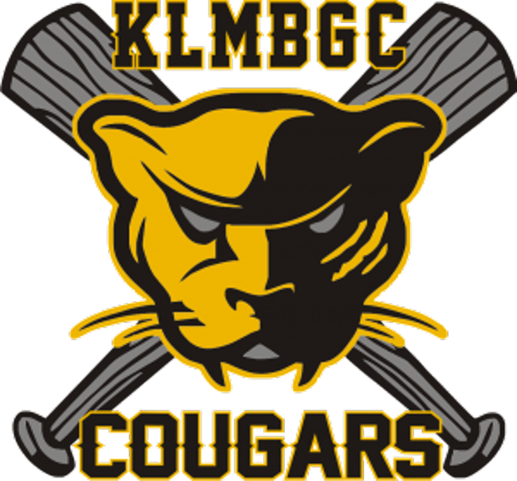 Canton Cougars (1024x952), Png Download