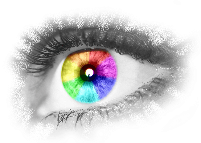 Free Png Download Human Eye Png Images Background Png - Close-up (850x591), Png Download