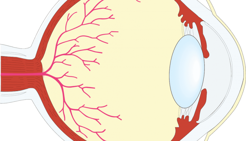 Free Png Download Human Eye Png Images Background Png - Eye (850x486), Png Download