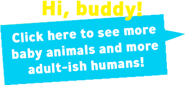 Open Gallery - Illustration (900x600), Png Download