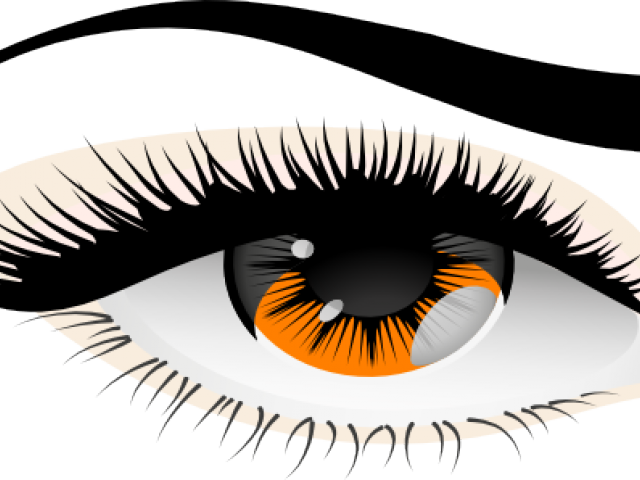 Brown Eyes Clipart Human Eye - Eye (640x480), Png Download